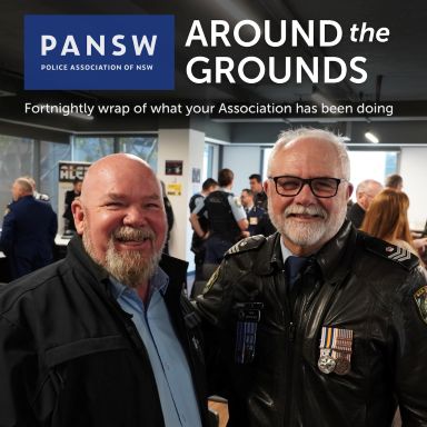 Thumbnail for article