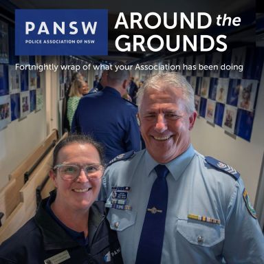 Thumbnail for article