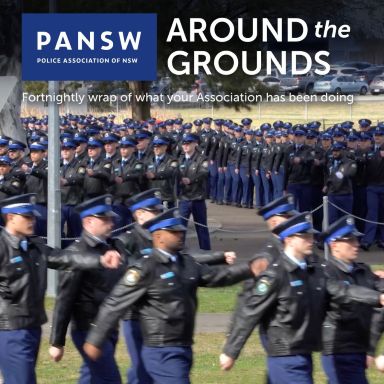 Thumbnail for article