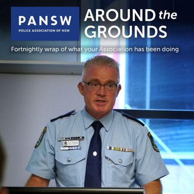 Thumbnail for article