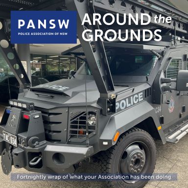 Thumbnail for article