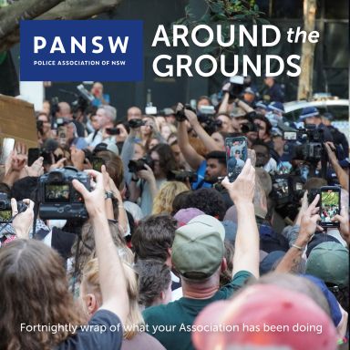 Thumbnail for article