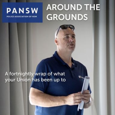 Thumbnail for article