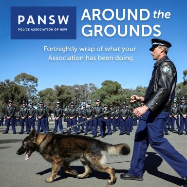 Thumbnail for article