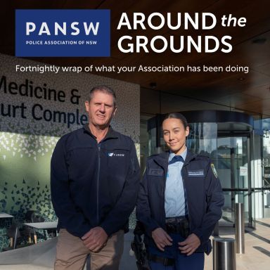 Thumbnail for article